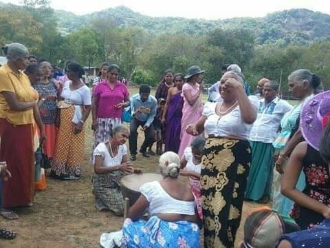 එරබදු වසන්තය 